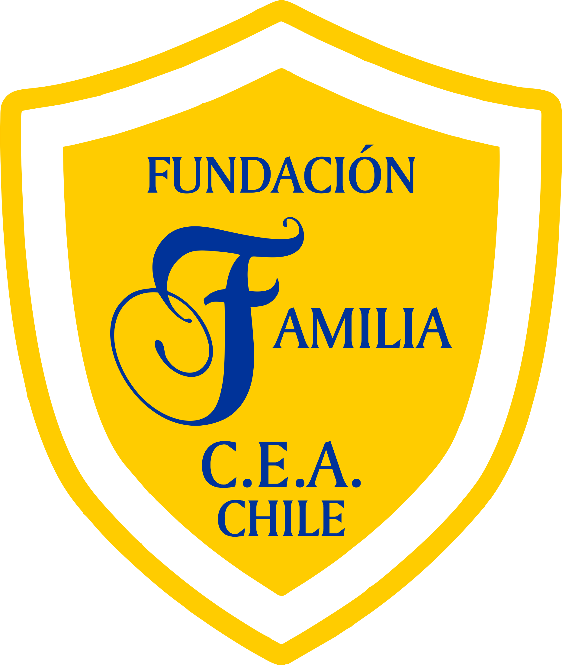 Fundación CEA – Fundación sin fines de lucro